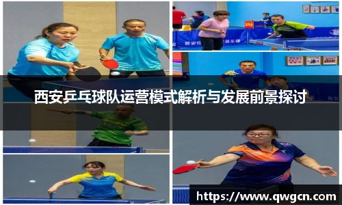 3377体育官网